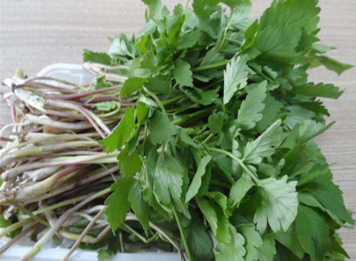 小葉芹的功效與作用 小葉芹的營養(yǎng)價值 小葉芹的功效與作用 小葉芹的營養(yǎng)價值