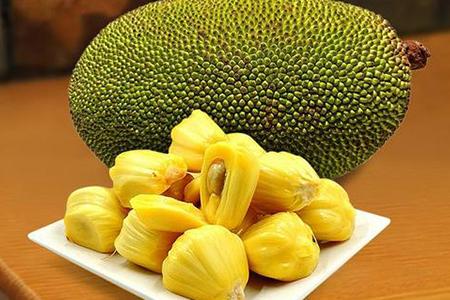 菠蘿蜜籽怎么煮需要煮多久才能吃 菠蘿蜜籽怎么煮需要煮多久才能吃