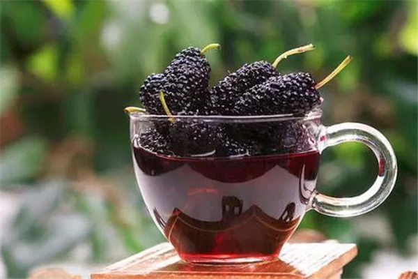 桑葚酒養(yǎng)生嗎 桑葚酒怎么做好喝 桑葚酒養(yǎng)生嗎 桑葚酒怎么做好喝