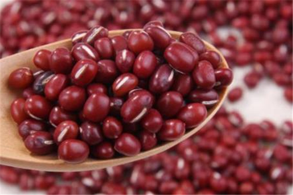 紅豆和赤小豆有什么區(qū)別 紅豆和赤小豆哪個補血效果好 紅豆和赤小豆有什么區(qū)別 紅豆和赤小豆哪個補血效果好
