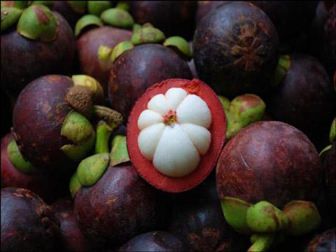 山竹的功效與作用 山竹的營養(yǎng)成分