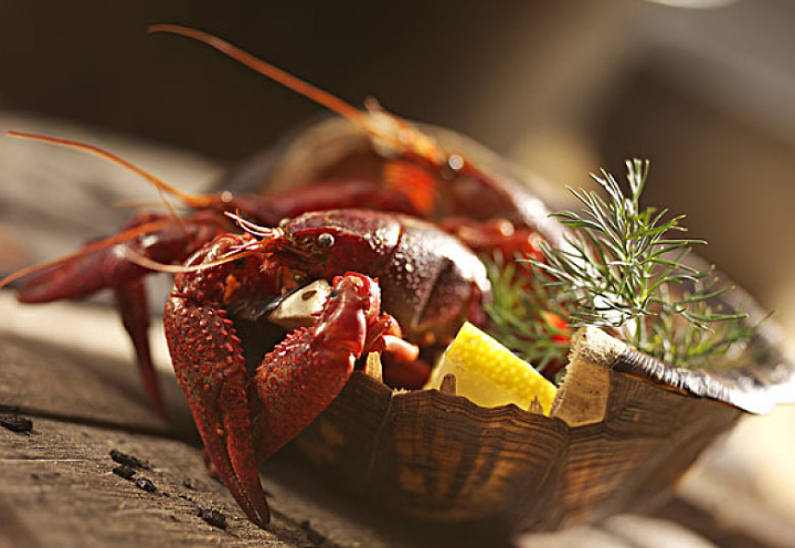 小龍蝦季節(jié)幾月到幾月 小龍蝦什么季節(jié)吃最好