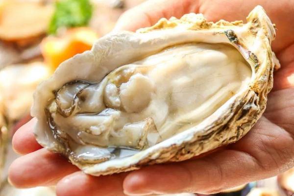 生蠔的熱量高不高 吃生蠔會不會長胖 生蠔的熱量高不高 吃生蠔會不會長胖