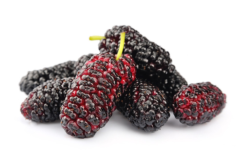 桑葚汁弄到衣服上怎么洗干凈 桑葚汁弄臟衣服怎么洗 桑葚汁弄到衣服上怎么洗干凈 桑葚汁弄臟衣服怎么洗