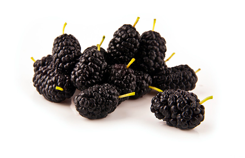 桑葚汁弄到衣服上怎么洗干凈 桑葚汁弄臟衣服怎么洗 桑葚汁弄到衣服上怎么洗干凈 桑葚汁弄臟衣服怎么洗