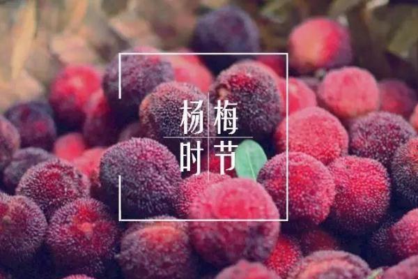 楊梅的營(yíng)養(yǎng)價(jià)值及功效與作用 吃楊梅的好處有哪些 楊梅的營(yíng)養(yǎng)價(jià)值及功效與作用 吃楊梅的好處有哪些