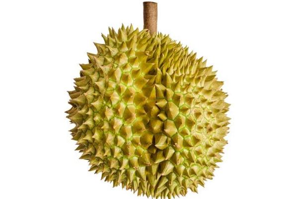 榴蓮可以緩解痛經(jīng)么 榴蓮可以放多長時(shí)間 榴蓮可以緩解痛經(jīng)么 榴蓮可以放多長時(shí)間