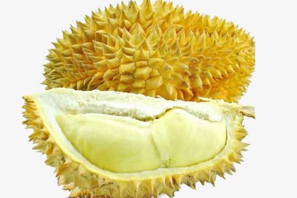 榴蓮可以緩解痛經(jīng)么 榴蓮可以放多長時(shí)間 榴蓮可以緩解痛經(jīng)么 榴蓮可以放多長時(shí)間