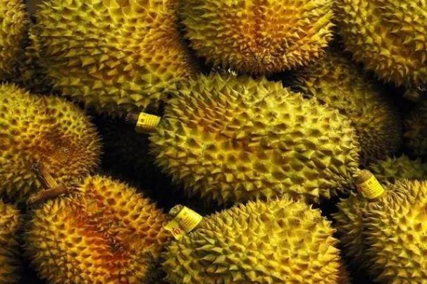 榴蓮要裂開(kāi)才熟嗎 榴蓮要開(kāi)口了才能吃嗎 榴蓮要裂開(kāi)才熟嗎 榴蓮要開(kāi)口了才能吃嗎