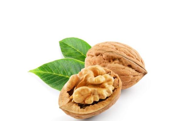 核桃的功效與作用禁忌 經常吃核桃有什么好處 核桃的功效與作用禁忌 經常吃核桃有什么好處