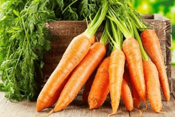 胡蘿卜有點軟了還能吃嗎 胡蘿卜有點爛了還能吃嗎 胡蘿卜有點軟了還能吃嗎 胡蘿卜有點爛了還能吃嗎