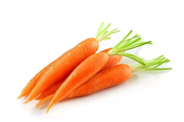 胡蘿卜有幾種顏色 胡蘿卜的常見品種 胡蘿卜有幾種顏色 胡蘿卜的常見品種