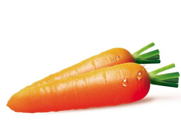 胡蘿卜的營養(yǎng)成分 胡蘿卜怎么吃才有營養(yǎng) 胡蘿卜的營養(yǎng)成分 胡蘿卜怎么吃才有營養(yǎng)