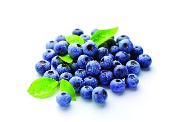藍(lán)莓有啥營(yíng)養(yǎng) 藍(lán)莓有什么用 藍(lán)莓有啥營(yíng)養(yǎng) 藍(lán)莓有什么用