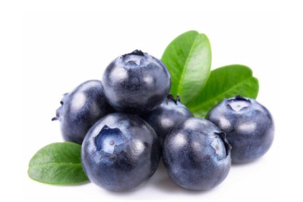 藍(lán)莓的好處和壞處 藍(lán)莓的吃法 藍(lán)莓的好處和壞處 藍(lán)莓的吃法