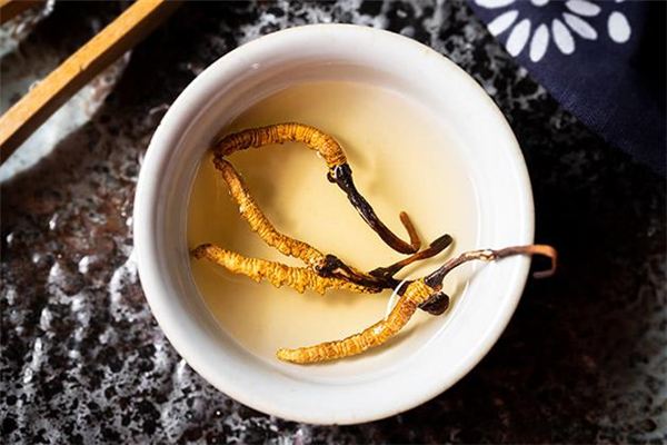 蟲草可以泡酒嗎 蟲草泡酒的正確方法 蟲草可以泡酒嗎 蟲草泡酒的正確方法