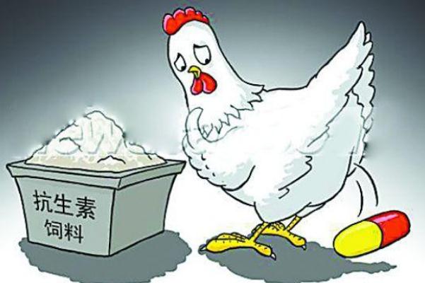 抗生素吃多了會怎么樣 抗生素藥有哪些藥 抗生素吃多了會怎么樣 抗生素藥有哪些藥