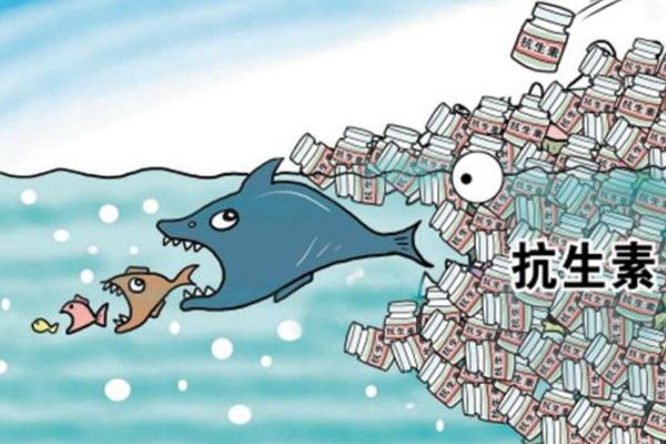 抗生素吃多了會怎么樣 抗生素藥有哪些藥 抗生素吃多了會怎么樣 抗生素藥有哪些藥