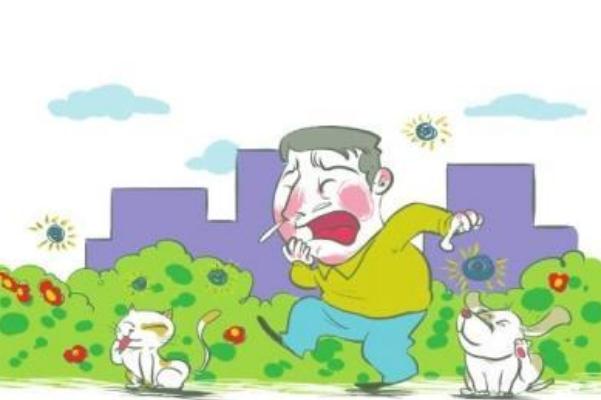 過敏的時候不能吃什么東西 過敏是免疫力低還是高 過敏的時候不能吃什么東西 過敏是免疫力低還是高