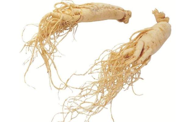 人參為什么不能和蘿卜同食 人參和蘿卜一起吃會怎么樣 人參為什么不能和蘿卜同食 人參和蘿卜一起吃會怎么樣