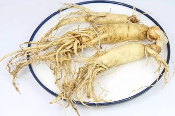 人參為什么不能和蘿卜同食 人參和蘿卜一起吃會怎么樣 人參為什么不能和蘿卜同食 人參和蘿卜一起吃會怎么樣