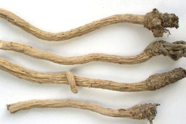 板藍(lán)根對(duì)咽炎有效果嗎 板藍(lán)根對(duì)鼻炎有效嗎 板藍(lán)根對(duì)咽炎有效果嗎 板藍(lán)根對(duì)鼻炎有效嗎