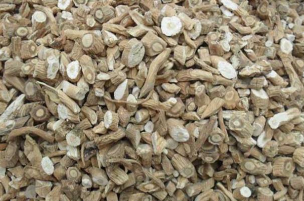 板藍(lán)根會使血糖升高嗎 板藍(lán)根對感冒有效嗎