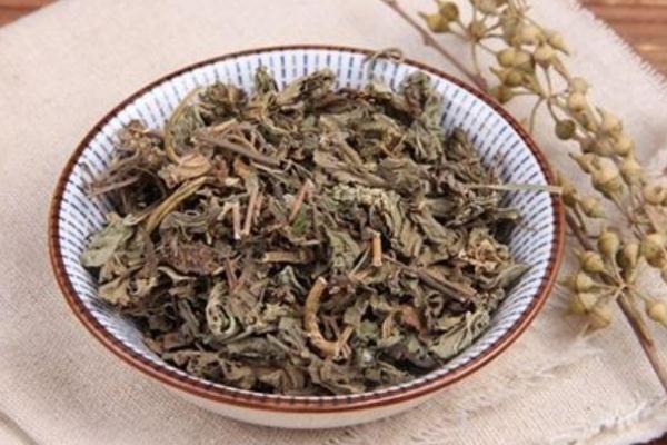 車前草有降血壓的功效嗎 車前草藥用價(jià)值 車前草有降血壓的功效嗎 車前草藥用價(jià)值