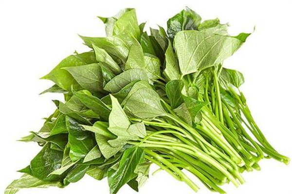 紅薯葉糖尿病人可以吃嗎 紅薯葉什么人不宜吃