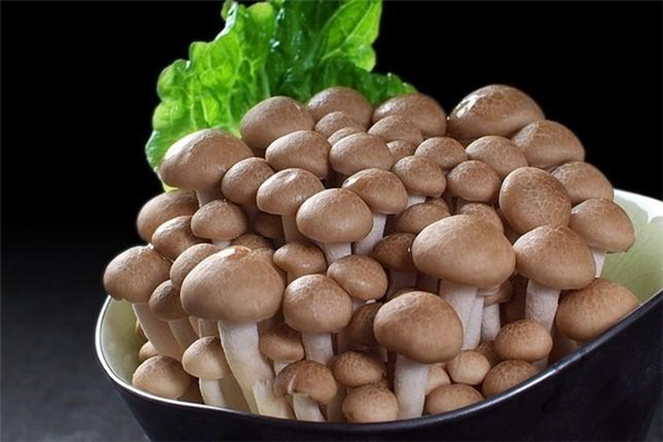 蟹味菇需要焯水嗎 蟹味菇要焯水多久