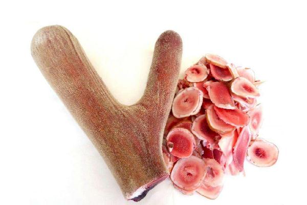 鹿茸的功效與作用吃法 鹿茸如何吃可以壯陽(yáng)