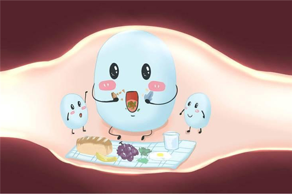 益生菌可以減肥嗎 益生菌有什么作用和功效 益生菌可以減肥嗎 益生菌有什么作用和功效