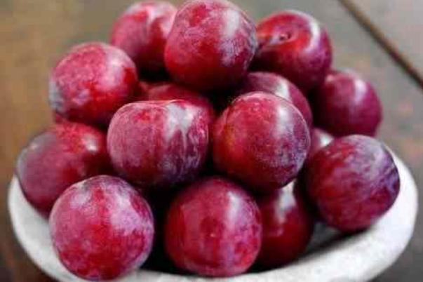 吃李子會上火嗎 吃李子會胖么 吃李子會上火嗎 吃李子會胖么