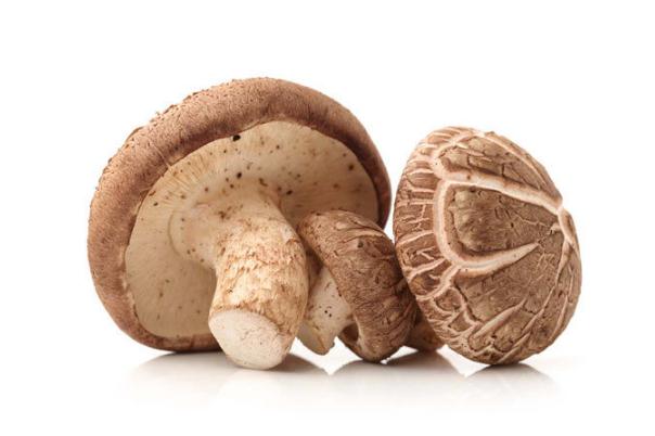 香菇的功效與作用 香菇的營養(yǎng)價值是什么 香菇的功效與作用 香菇的營養(yǎng)價值是什么