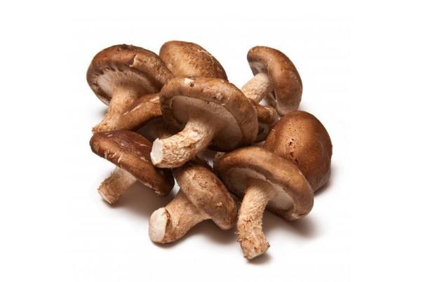 香菇的功效與作用 香菇的營養(yǎng)價值是什么 香菇的功效與作用 香菇的營養(yǎng)價值是什么