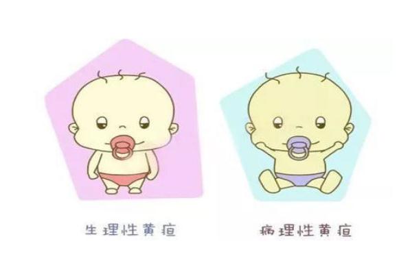 新生兒溶血的危害 新生兒溶血的概率 新生兒溶血的危害 新生兒溶血的概率