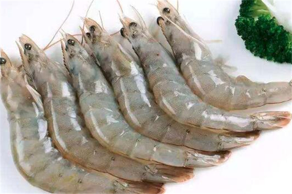 基圍蝦是淡水養(yǎng)殖還是海水養(yǎng)殖 基圍蝦是海蝦還是河蝦 基圍蝦是淡水養(yǎng)殖還是海水養(yǎng)殖 基圍蝦是海蝦還是河蝦