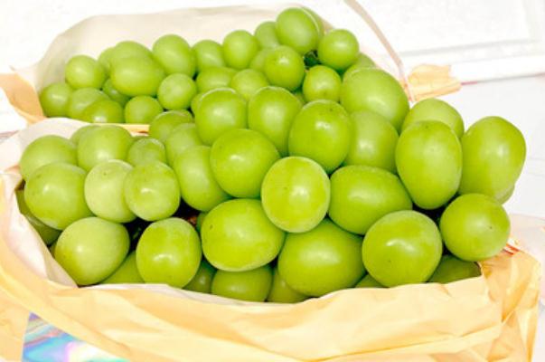 青提的營(yíng)養(yǎng)價(jià)值 青提的皮可以吃嗎