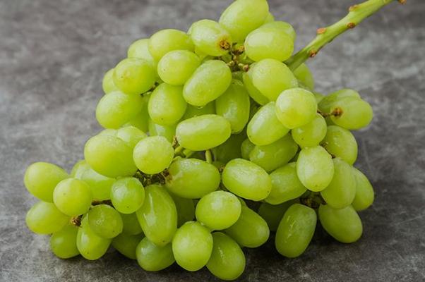 吃青提有什么好處 吃青提會(huì)發(fā)胖嗎 吃青提有什么好處 吃青提會(huì)發(fā)胖嗎