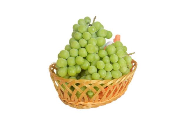 吃青提有什么好處 吃青提會(huì)發(fā)胖嗎 吃青提有什么好處 吃青提會(huì)發(fā)胖嗎