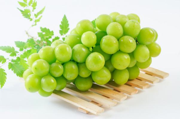 青提的營(yíng)養(yǎng)價(jià)值 青提的皮可以吃嗎