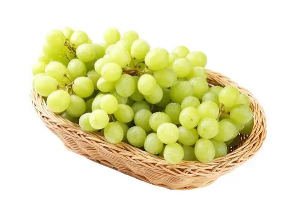 吃青提有什么好處 吃青提會(huì)發(fā)胖嗎 吃青提有什么好處 吃青提會(huì)發(fā)胖嗎