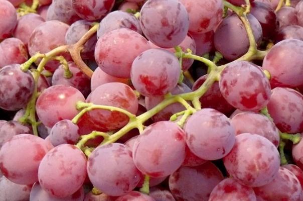 紅提的皮可以吃嗎 提子皮的營養(yǎng)價(jià)值