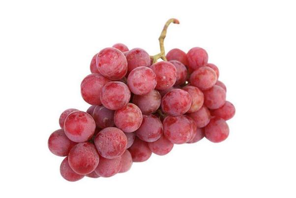 紅提的功效與作用禁忌 紅提是涼性還是熱性 紅提的功效與作用禁忌 紅提是涼性還是熱性