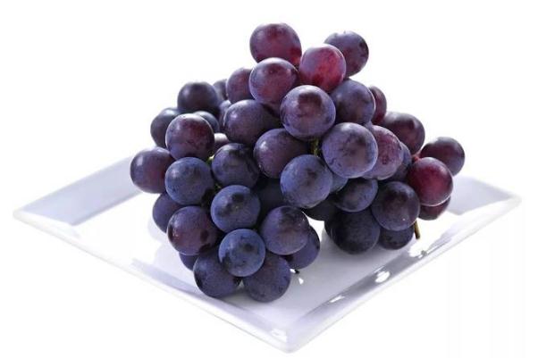 巨峰葡萄是涼性還是熱性 巨峰葡萄是哪里產(chǎn)的 巨峰葡萄是涼性還是熱性 巨峰葡萄是哪里產(chǎn)的