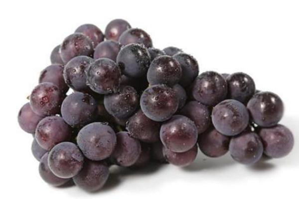 巨峰葡萄會不會上火 吃巨峰葡萄的好處 巨峰葡萄會不會上火 吃巨峰葡萄的好處