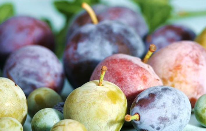 李子增肥還是減肥 痛風能吃李子嗎 李子增肥還是減肥 痛風能吃李子嗎