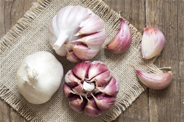 大蒜放耳朵可以治療耳鳴嗎 大蒜放耳朵里可以治療什么 大蒜放耳朵可以治療耳鳴嗎 大蒜放耳朵里可以治療什么