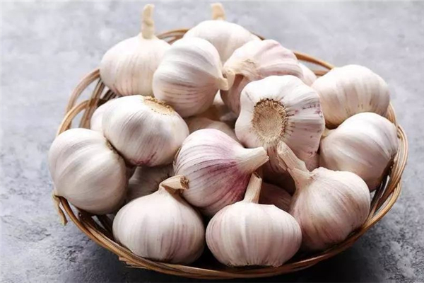 大蒜對肝臟有傷害嗎 大蒜對痛風(fēng)有影響嗎 大蒜對肝臟有傷害嗎 大蒜對痛風(fēng)有影響嗎