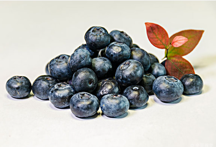 藍莓含糖量高嗎 藍莓可以一天吃一盒嗎 藍莓含糖量高嗎 藍莓可以一天吃一盒嗎